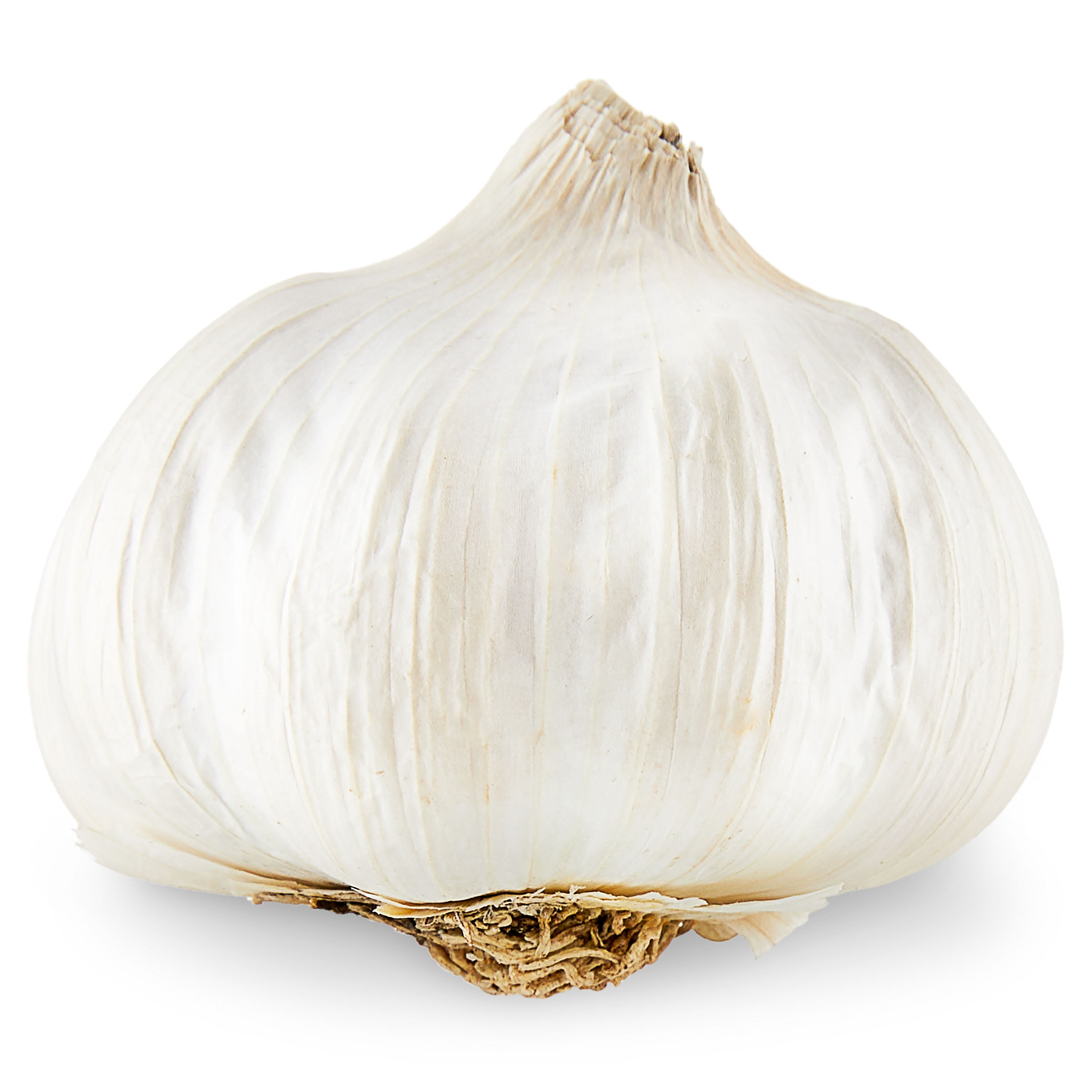 Australian Garlic